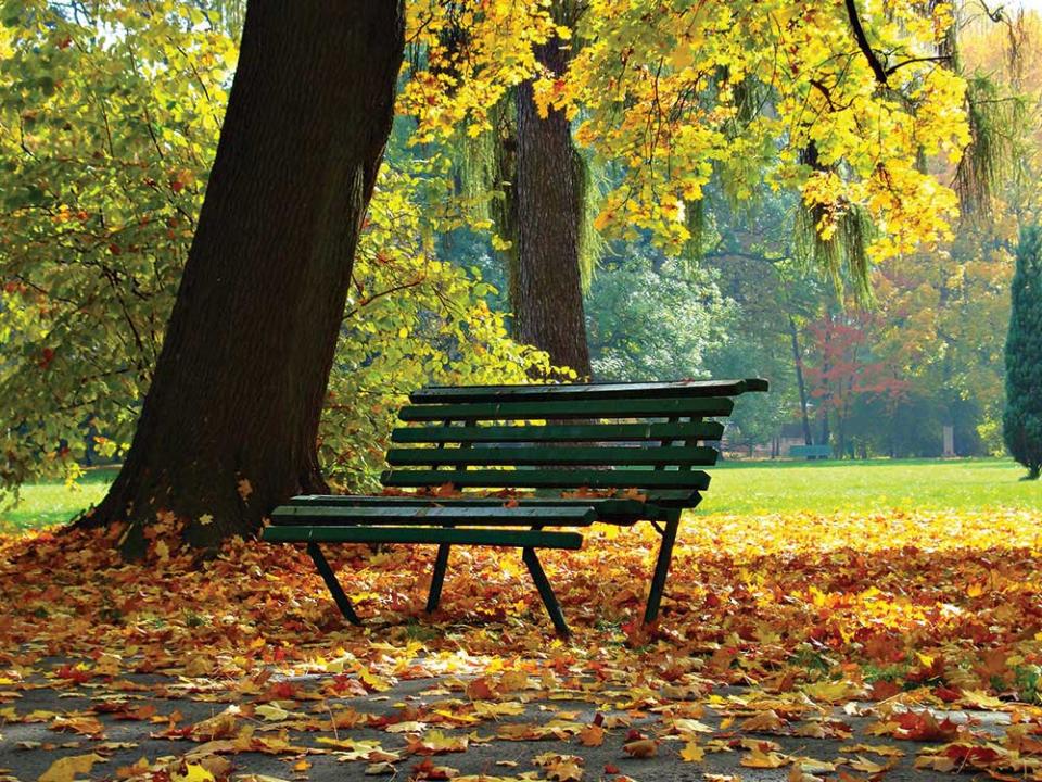 Photo by Dariusz Staniszewski, via Pexels.