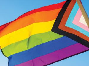 Jones v. Mahaniah is a Blatant Attempt to Safeguard Anti-LGBTQ+ Discrimination and Abuse 